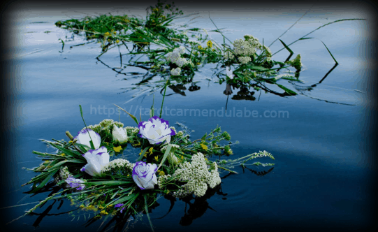 Efectos de las Plantas y Flores en los rituales