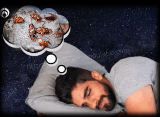 Soñar con Cucarachas. ¿Qué significa?